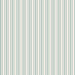 Ticking Stripe in Spring Blue