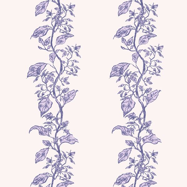 Romance Vine in Cameo