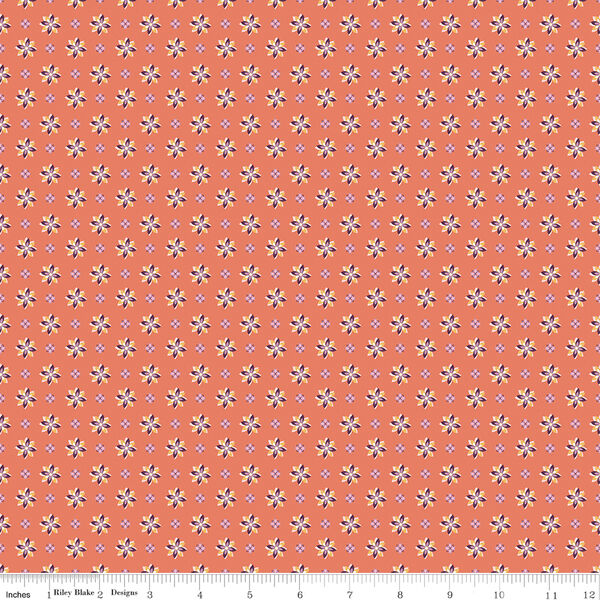 Calico in Orange