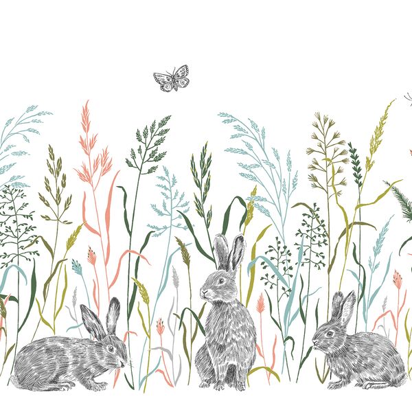 Hoppy Trails Double Border in Meadow