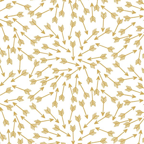 Arrows in Straw on White