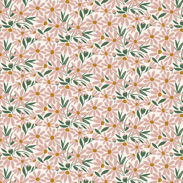 Daisy Garden in Bloom