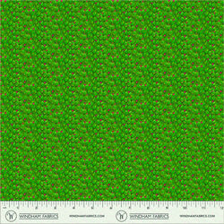 Astrea in Green