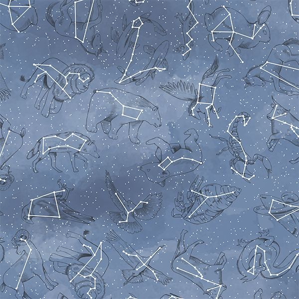 Constellations in Midnight