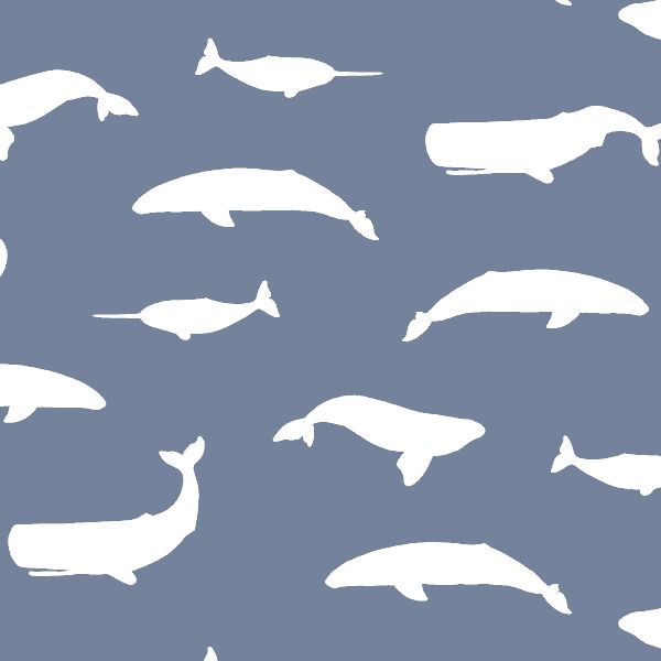 Whale Silhouette in Dove