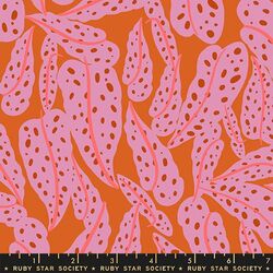 Overlapping Leaves in Orange
