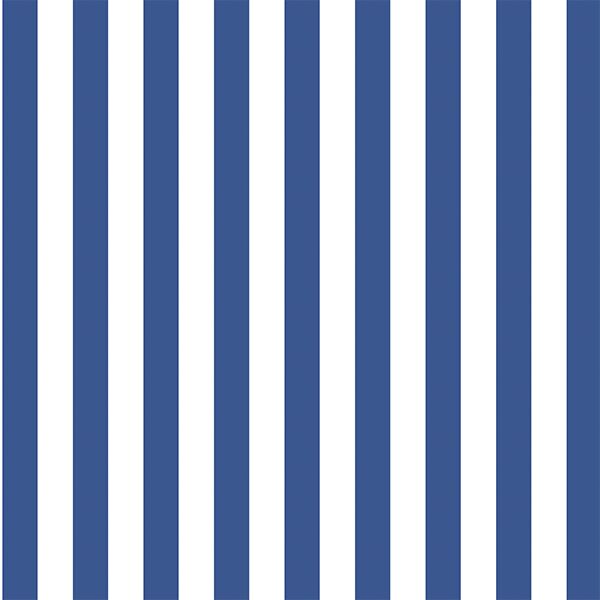 Candy Stripe in Blue Jay