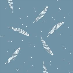 Meteor Shower in Marine