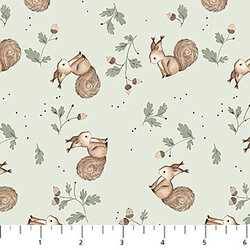 Squirrels in Sage