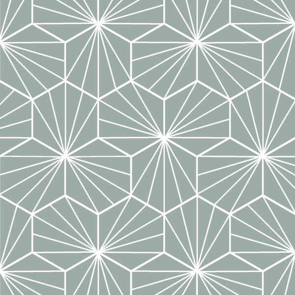 Radiate in Eucalyptus