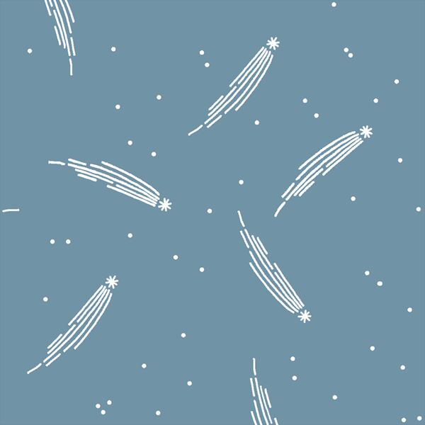 Meteor Shower in Marine