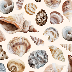 Large Shells in Pearl