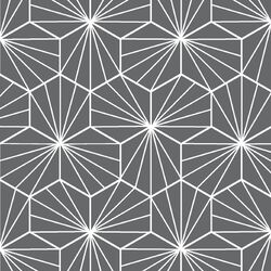 Radiate in Charcoal