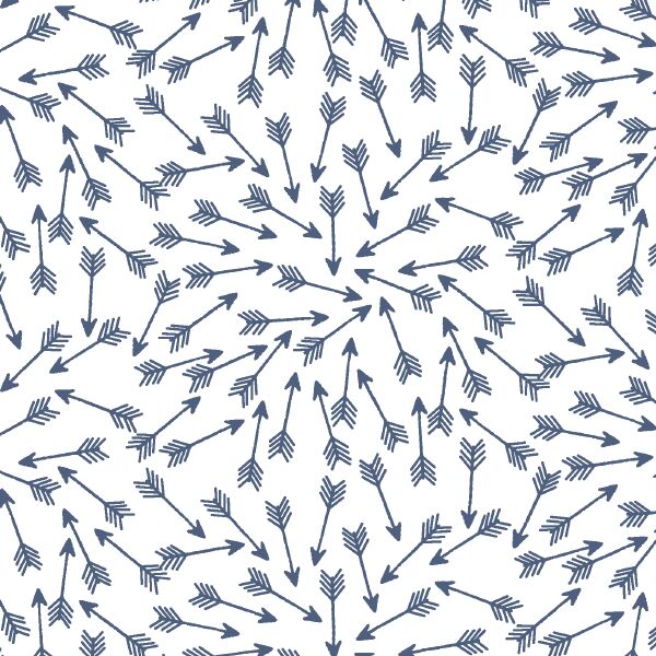 Arrows in Midnight on White