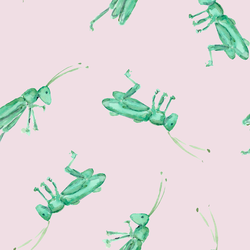 Large Grasshopper in Rose
