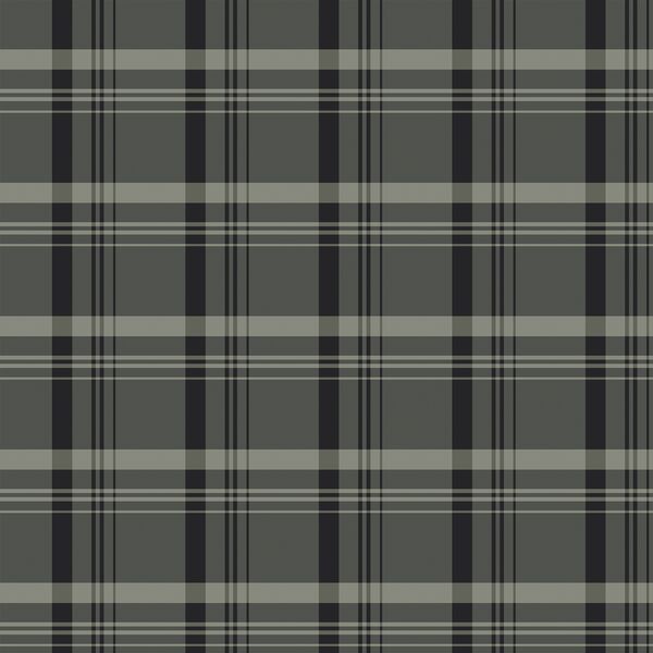 Plaid in Evening