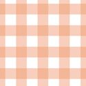 Large Gingham in Deep Peach