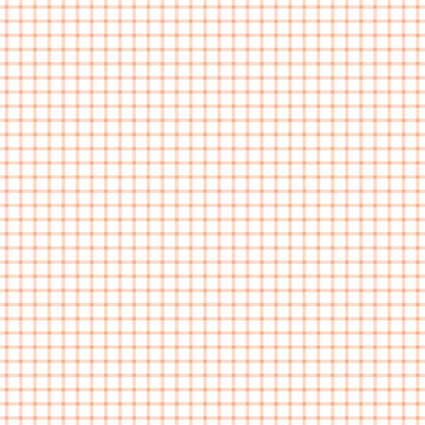 Little Summer Gingham Check in Peachy