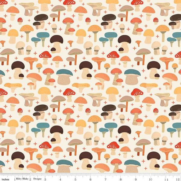 Mushrooms in Cloud