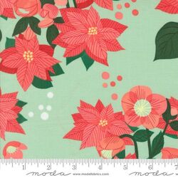 Poinsettia in Mint