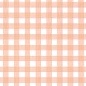 Gingham in Coral Blush