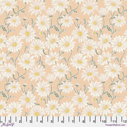 Daisy in Coral