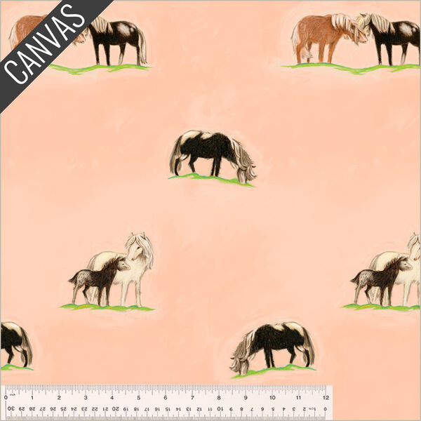 Ponies Canvas in Peach
