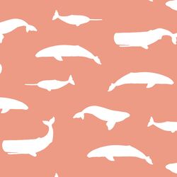 Whale Silhouette in Grapefruit