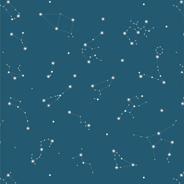 Constellations in Night