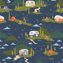 Campfire Stories in Night