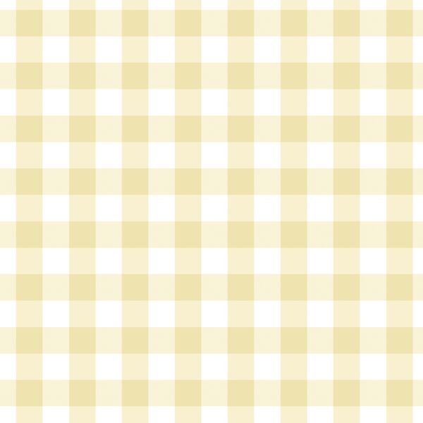 Gingham in Sunlight