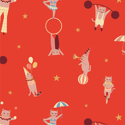 Purrfect Performers in Warm