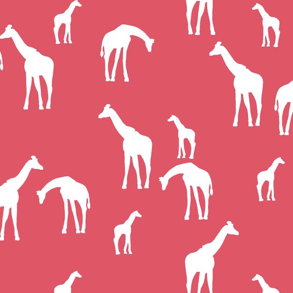 Giraffe Silhouette in Passion
