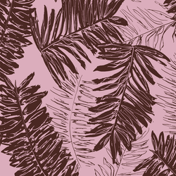 Oasis in Orchid