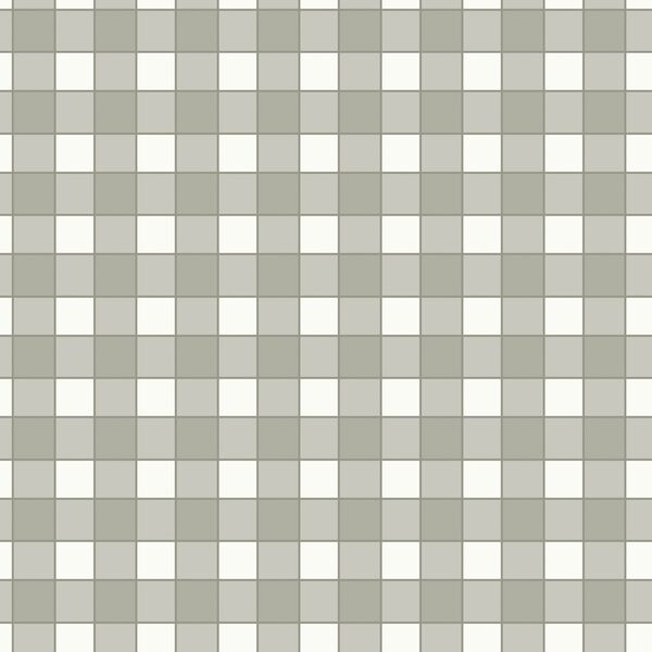 Outlined Gingham in Olive Green