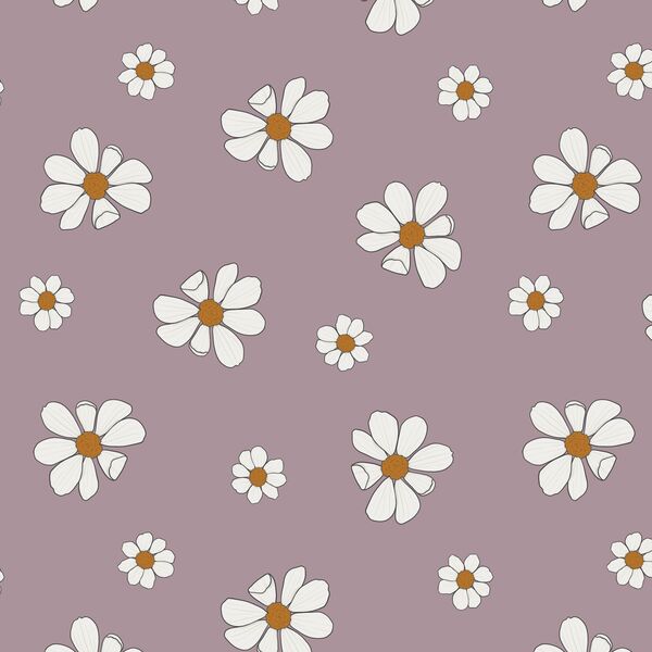 Daisies in Lavender