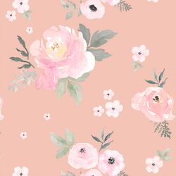 Sweet Blush Roses in Petal
