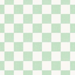 Checkered in Mint Green