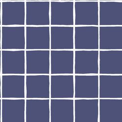 Windowpane in Indigo
