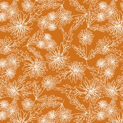 Chrysanthemum Sketch in Zinnia