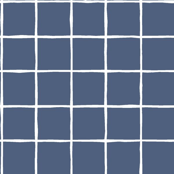 Windowpane in Midnight