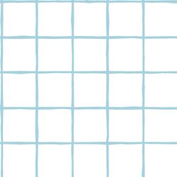 Windowpane in Robins Egg on White