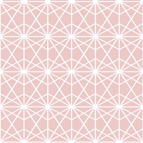 Terrarium in Blush