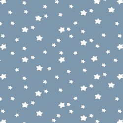 Star Light in Dusk