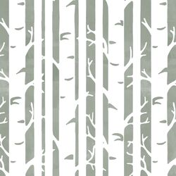 Birches in Sage