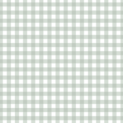 Little Gingham in Mint