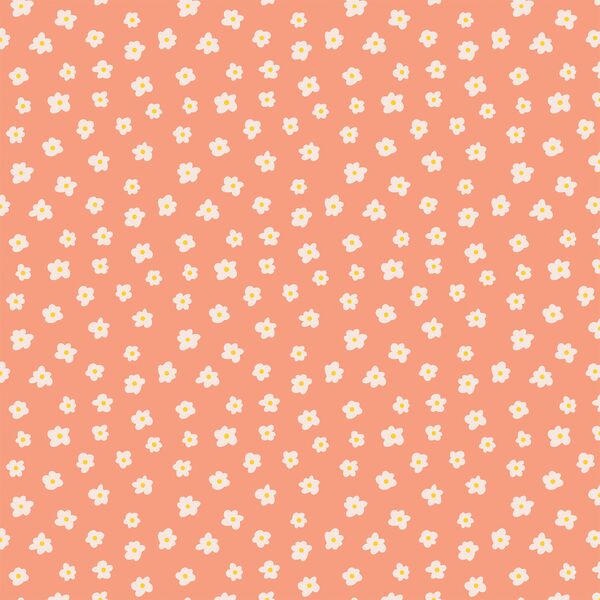Daisy in Coral