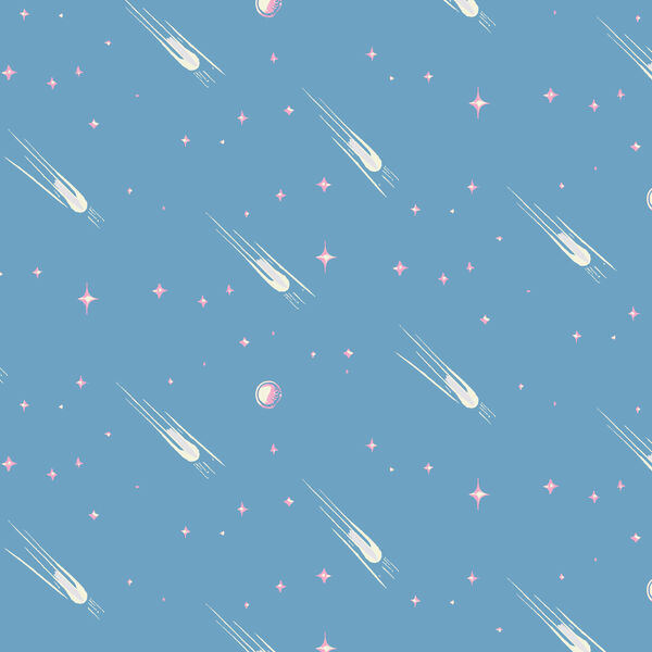 Path of the Meteorite in Sky