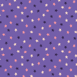 Starry Sky in Night