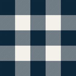 Thick Plaid in Navy Blue